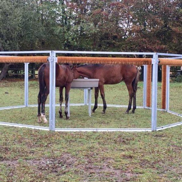 Parc à poulains avec rouleaux brosses