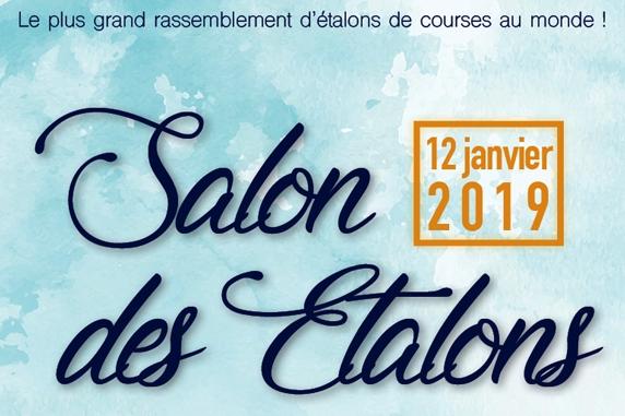 Lire la suite à propos de l’article TECHNIBELT EST PRÉSENT AU SALON DES ETALONS DU LION D’ANGERS CE SAMEDI 12 JANVIER 2019 !