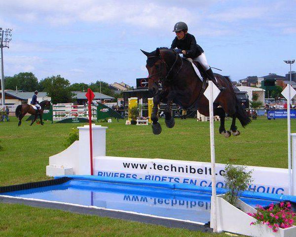 Rivière mixte pour saut d’obstacle