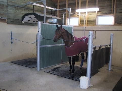 Stalle douche/ préparation chevaux