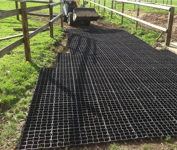 Dalle Ecoraster pour écuries