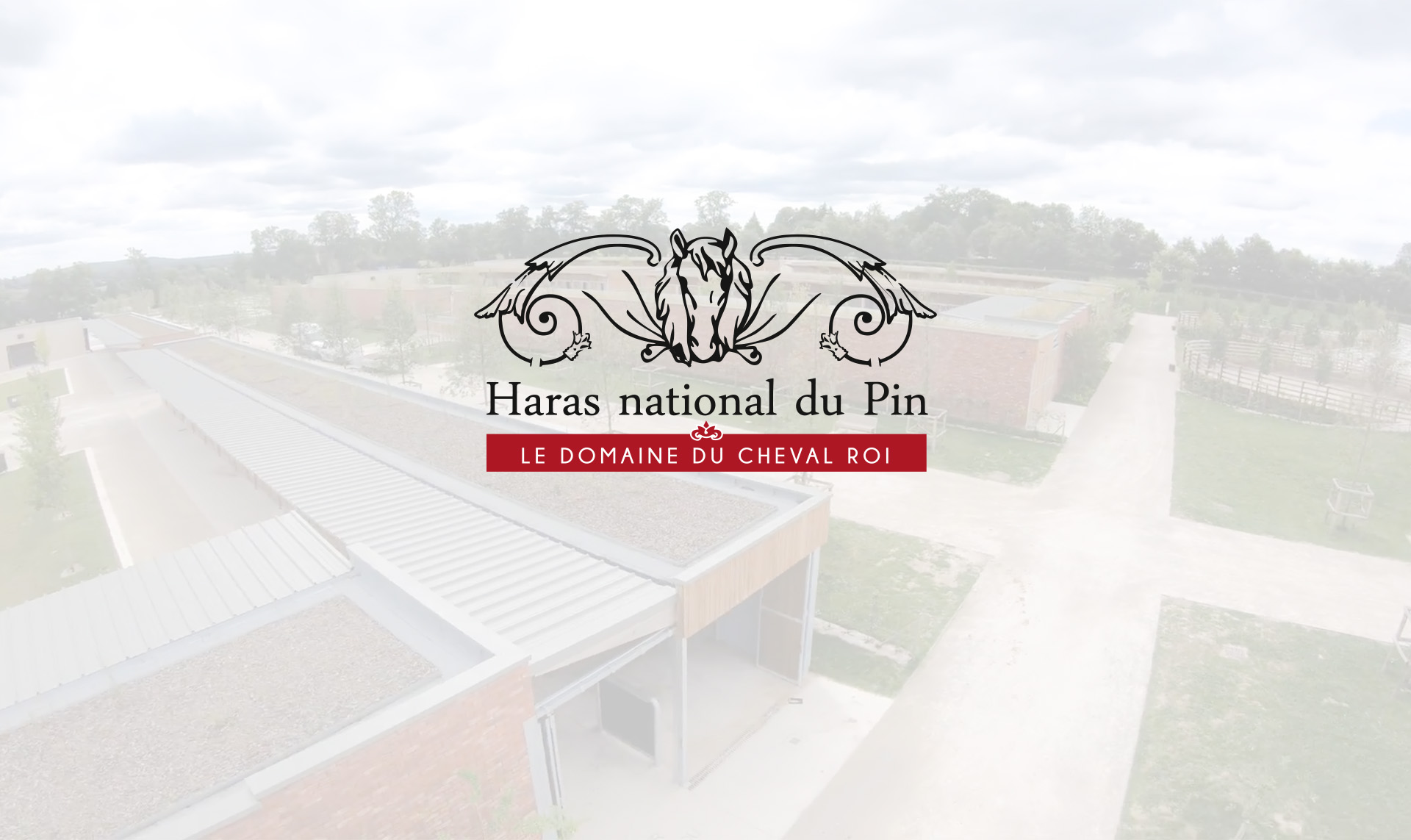 Read more about the article 300 box pour le grand Haras national du Pin !